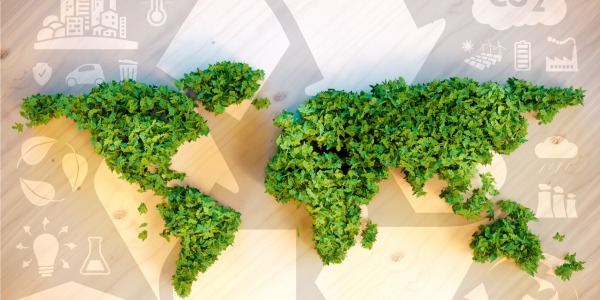 Eco-Friendly Fabrics: The Future of Sustainable Fashion