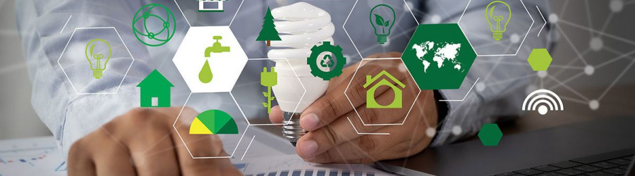 Sustainable Practices Worldwide
