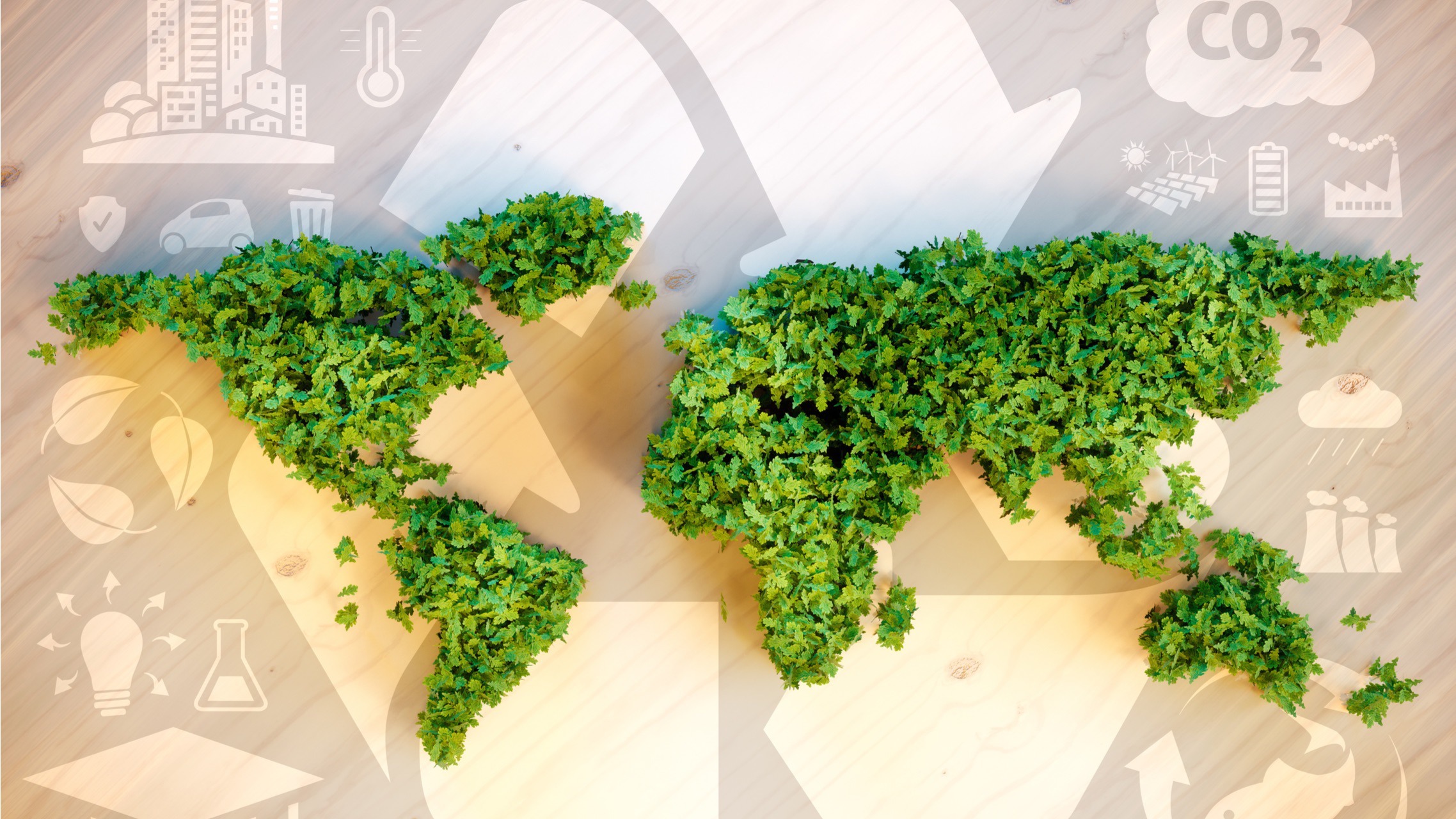 Eco-Friendly Fabrics: The Future of Sustainable Fashion